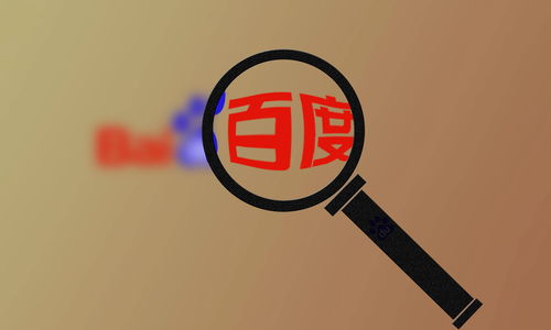 外推排名软件代发接单